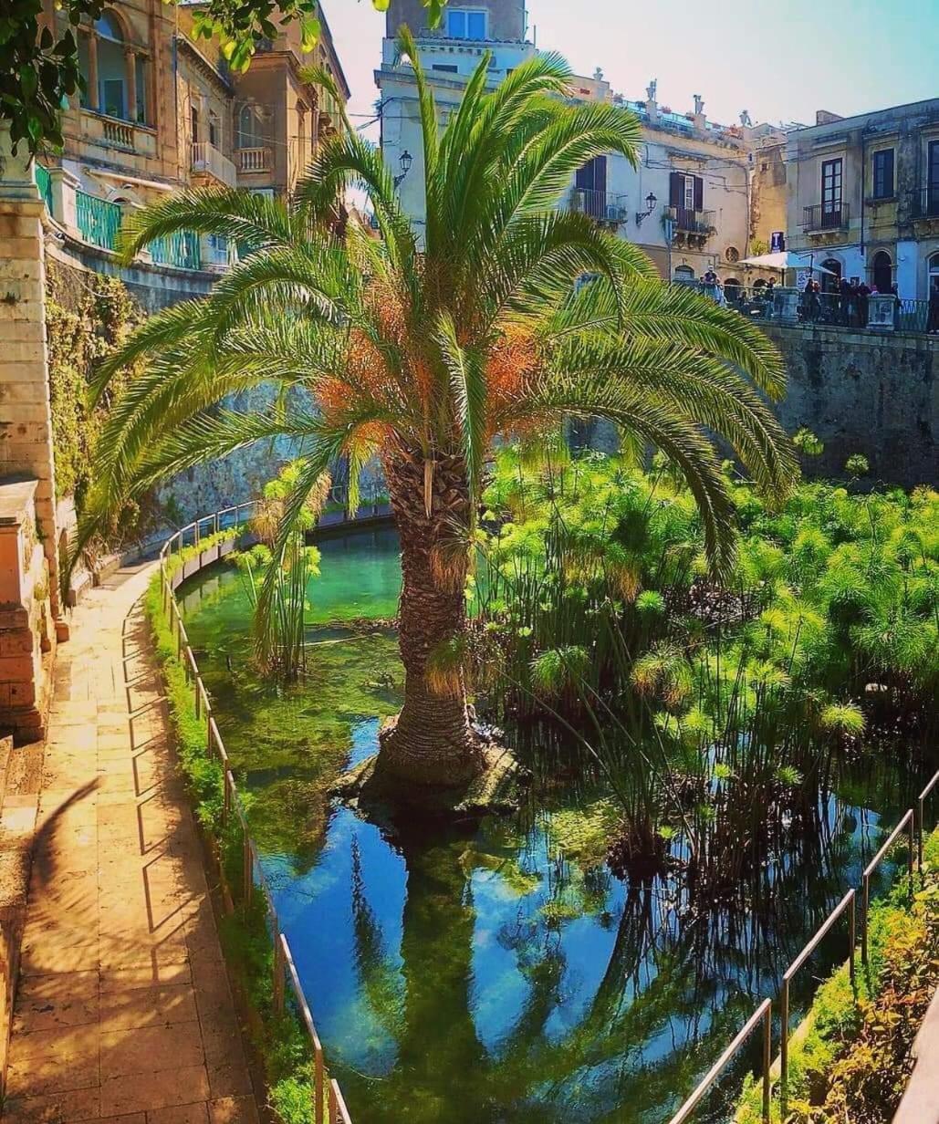 B&B Domus Pina Catania Exterior photo